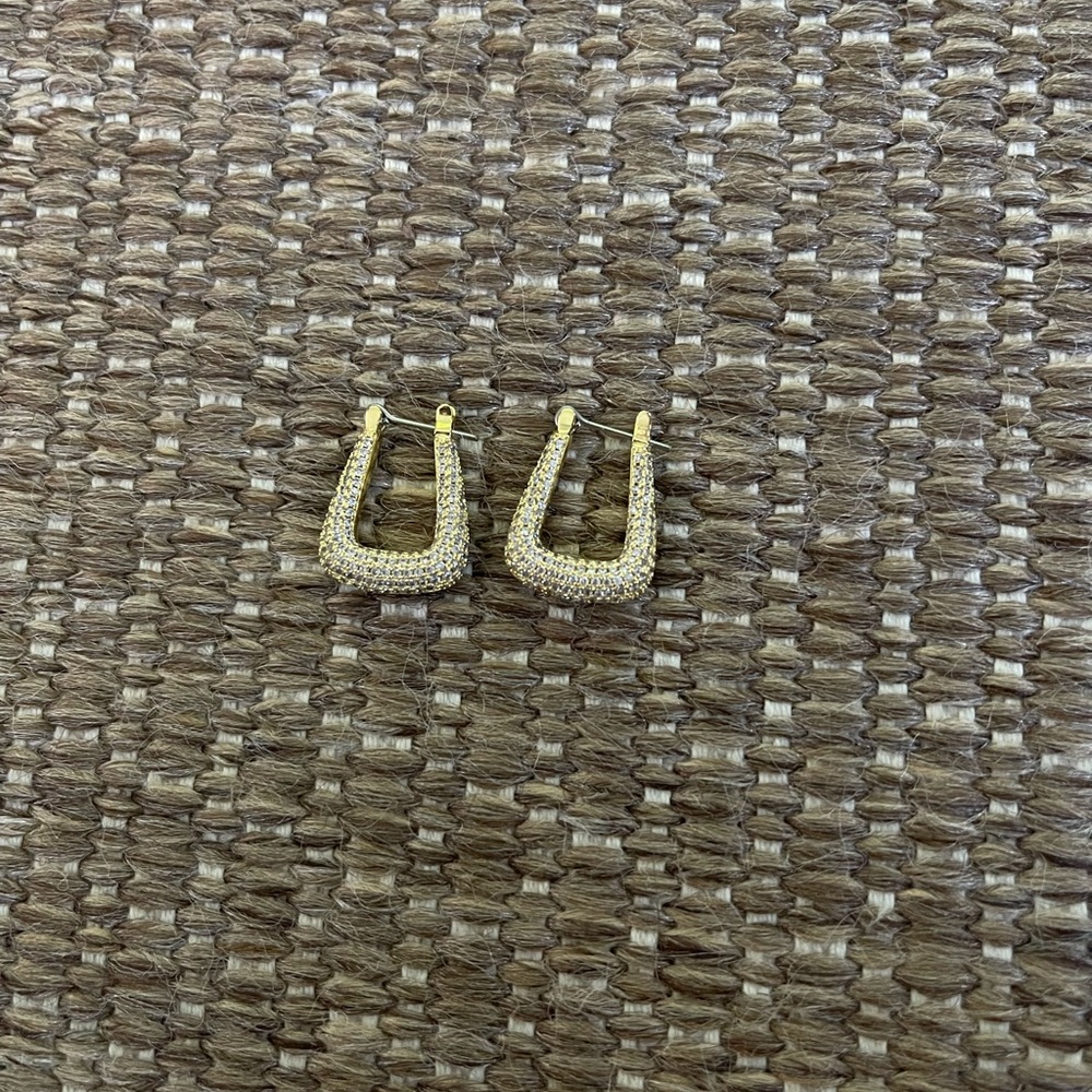 Uncommon James earrings